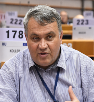 Ing. Mgr. Roman Haken
